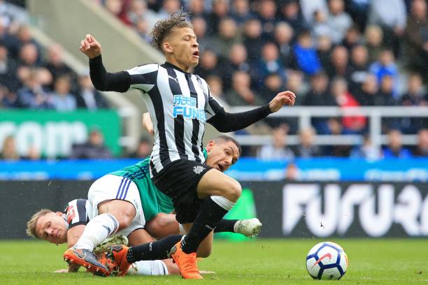 现有阵容 现有阵容