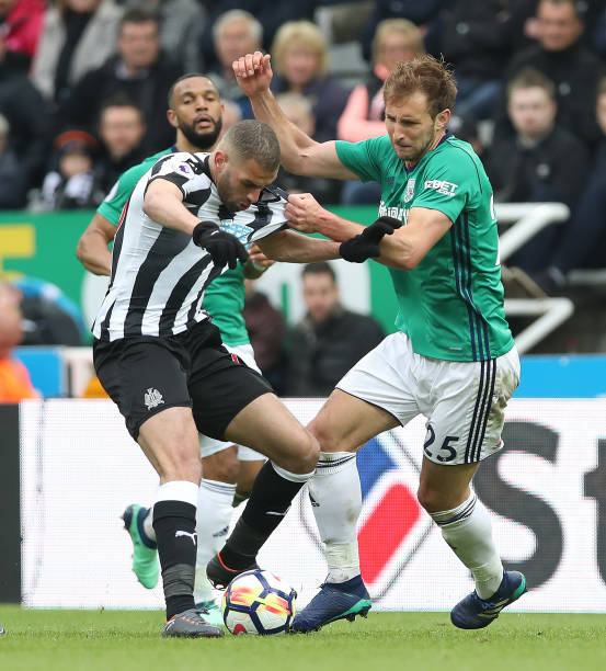 圈中堪称 圈中堪称